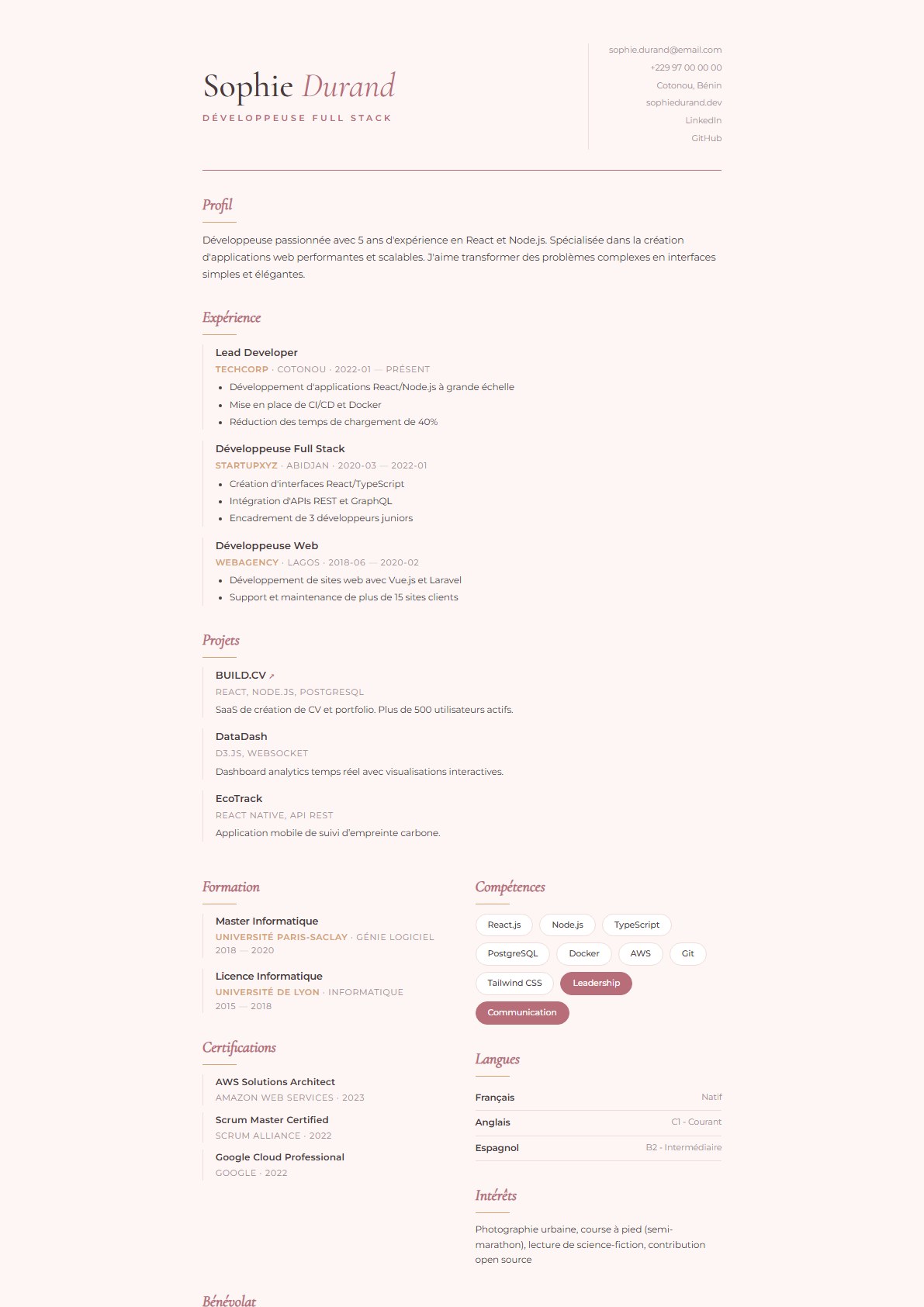Modèle de CV Blush