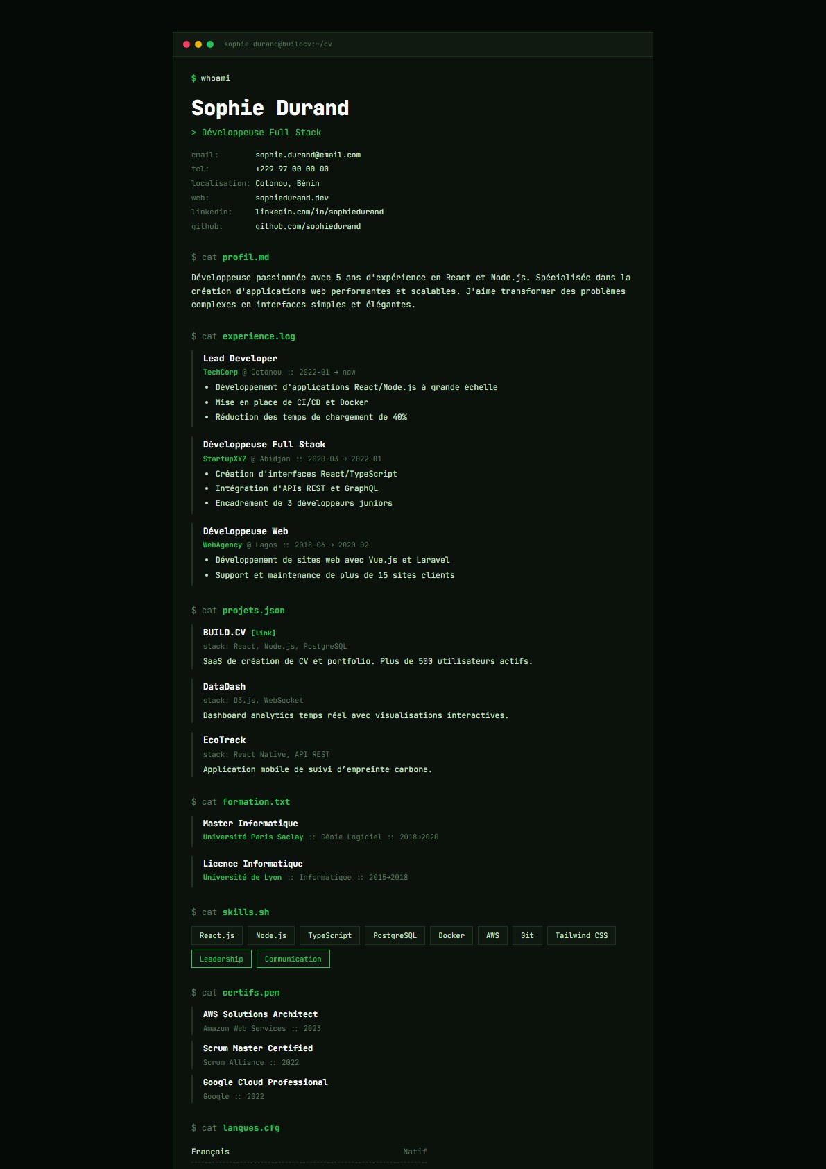 Modèle de CV Matrix