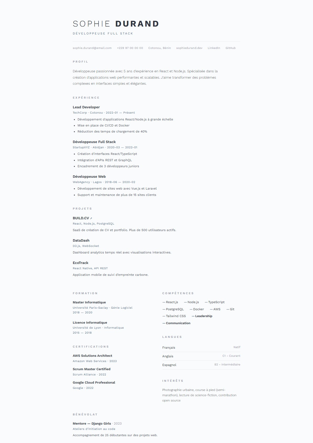 Modèle de CV Nordique