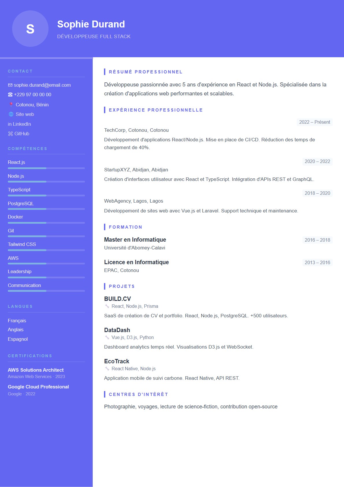 Aperçu du modèle CV Professionnel