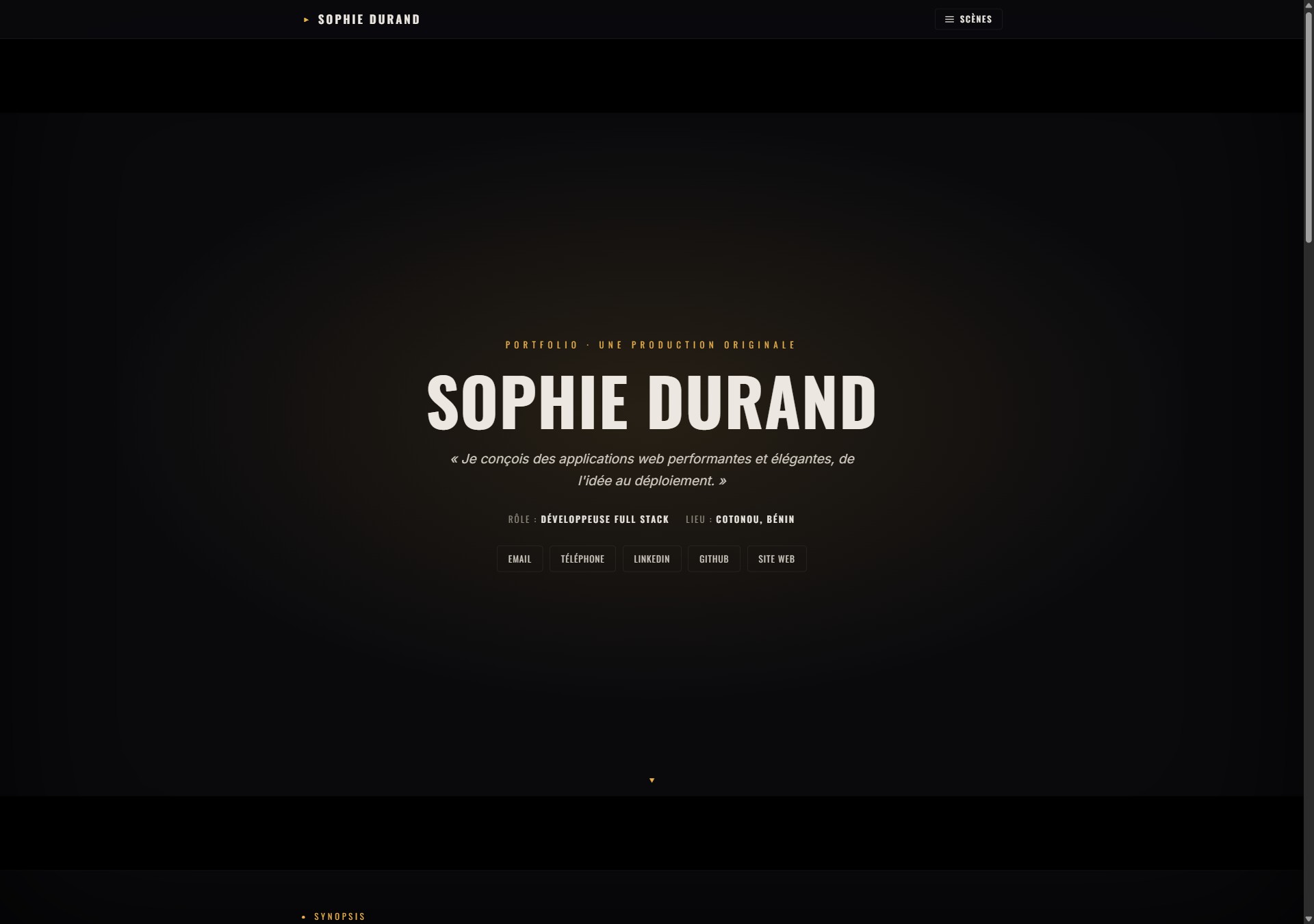 Modèle de portfolio Cinéma