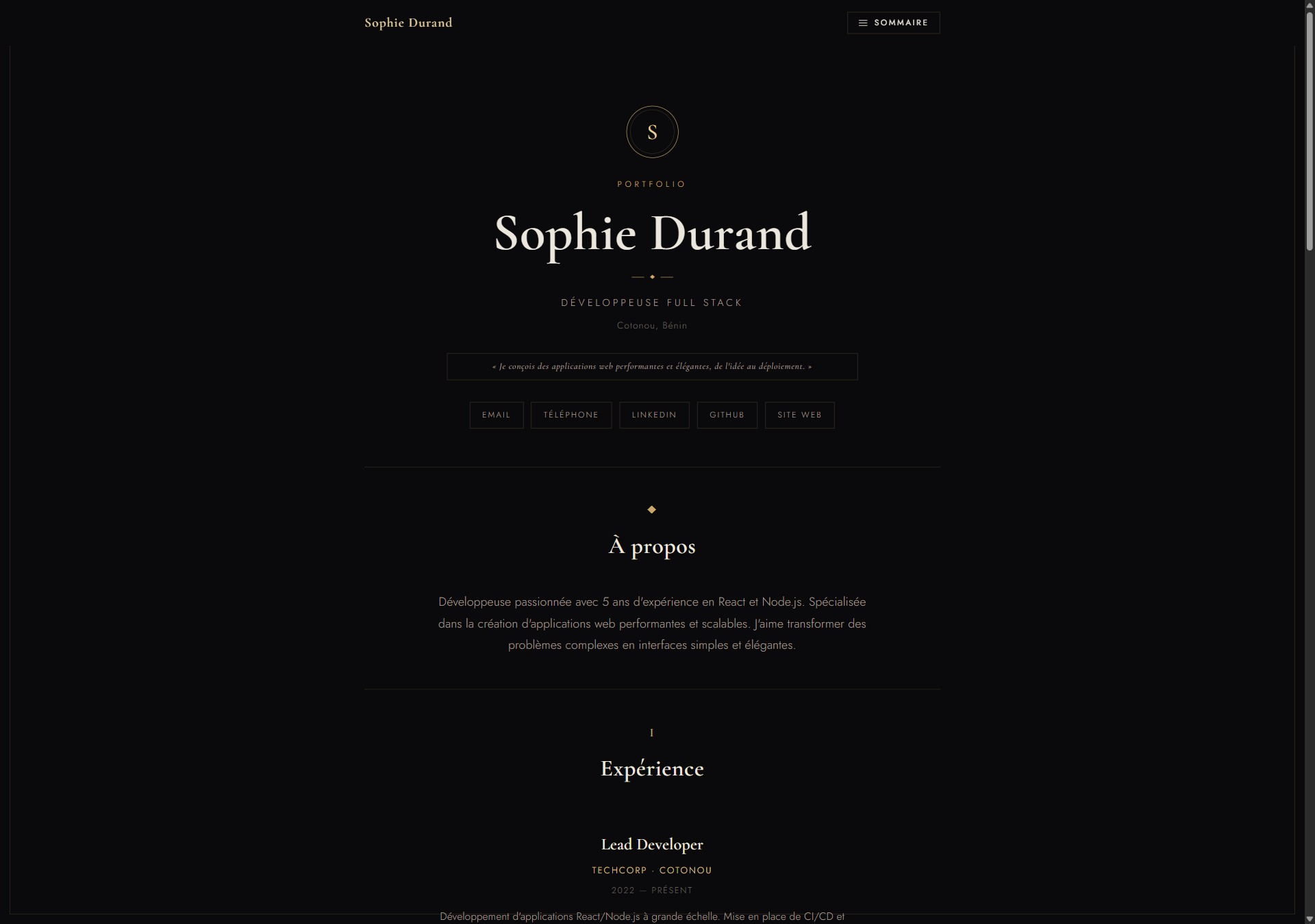 Modèle de portfolio Luxury