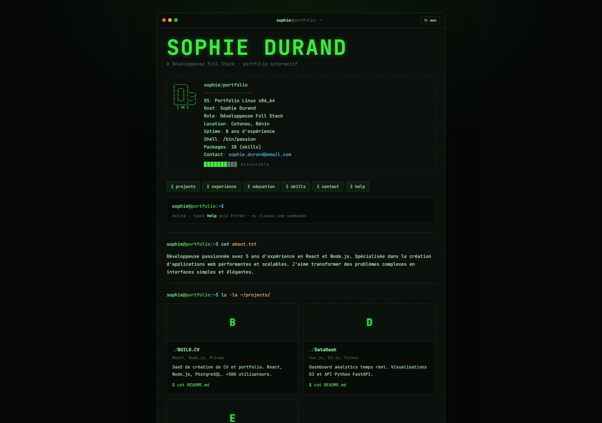 Modèle de portfolio Terminal